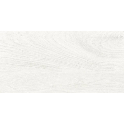 Керамогранит 30*60 Wood White