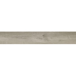 Плитка керамическая 20*120 FENIX ACERO Rec