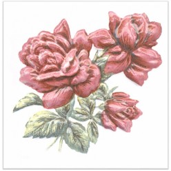Декор Оранжерея Розы 9,9*9,9 Tfa012
